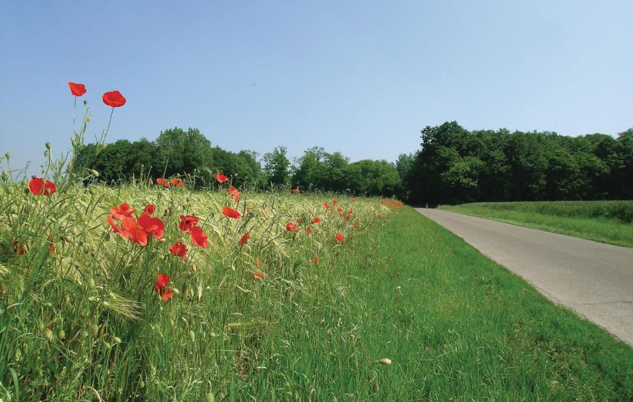 Gite De La Lombardie Lottinghen ภายนอก รูปภาพ